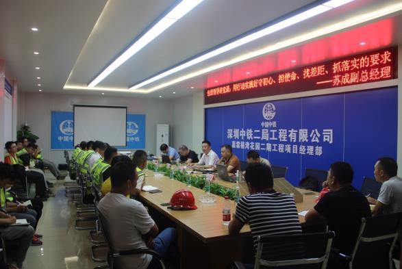 公司副总经理苏成到嘉霖禧湾项目部开展“不忘初心，牢记使命”专题党课