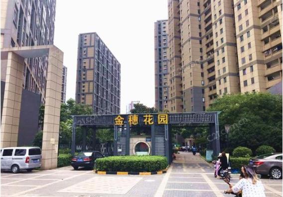 深圳金穗花园二标